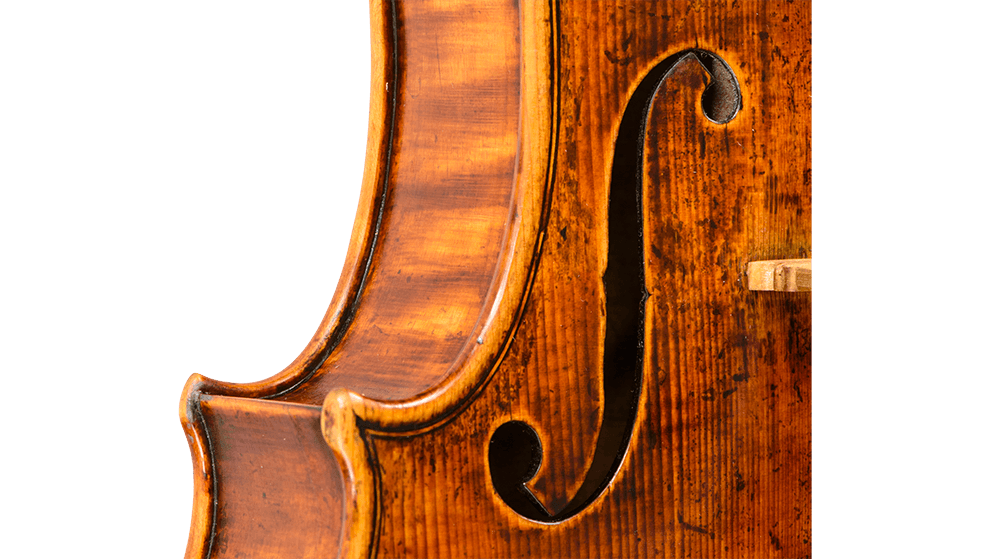 Cadiz Stradivari
